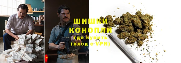 apvp Алзамай