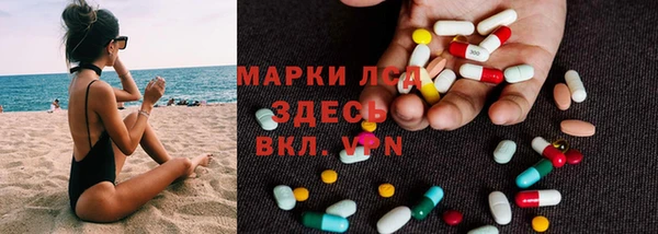 apvp Алзамай