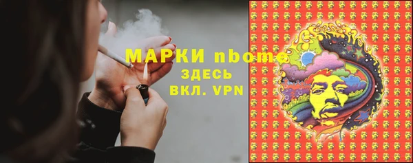 apvp Алзамай