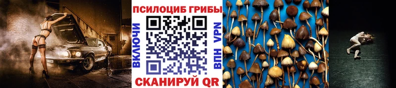 Псилоцибиновые грибы мицелий что такое Елец